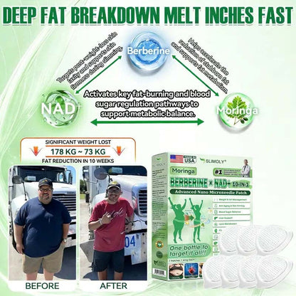 Official Store | Slimoly® Moringa + Berberine + NAD+ 10-in-1 Advanced Nano Microneedle Patch Once Daily • Visible Results in 7 Days